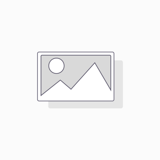 LLANTA 195 R15 106S C/N RD613